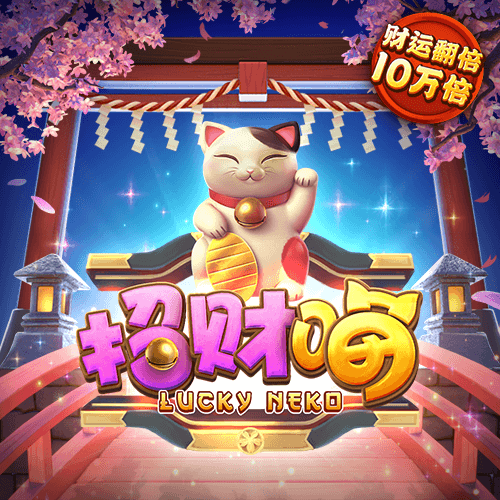 365速发国际有多少年了